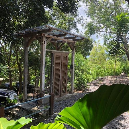 Omah Cantrik, Ethnic Java House With Nature View Jarakan Exteriér fotografie